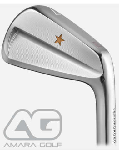 Vega SS Iron PW