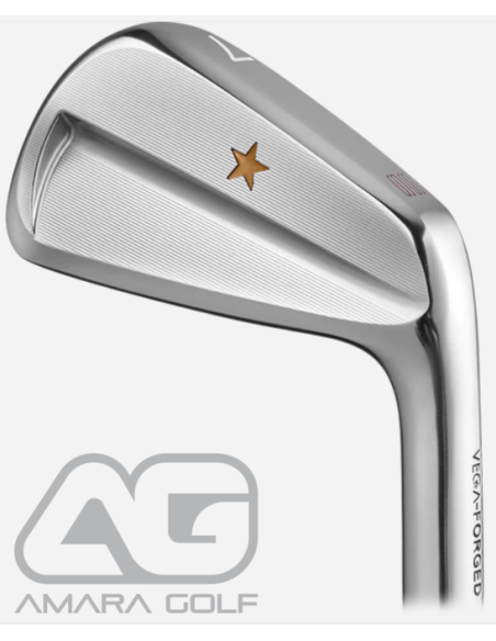 Vega SS Iron #6