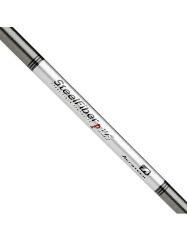Aerotech Steelfiber Putter 125,  .370
