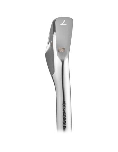 Vega SS Iron PW