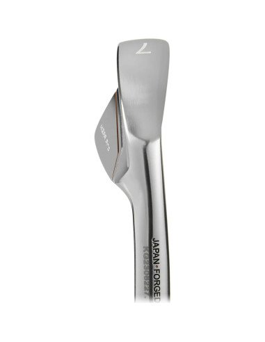 VEGA IRON  MIZAR PRO  #PW