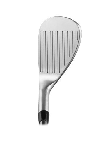 Vega Alcor X Wedge 60?